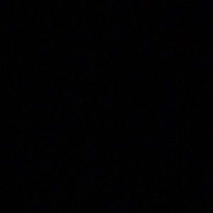 Meet your Posher, Perla